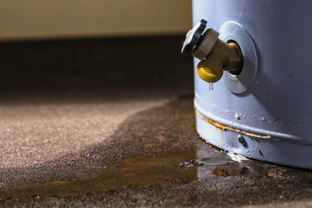 Best Water damage restoration near me  in Heber, CA