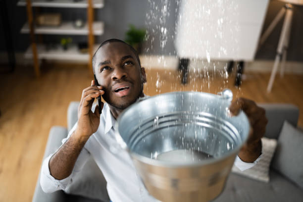 Best Water damage mitigation services  in Heber, CA