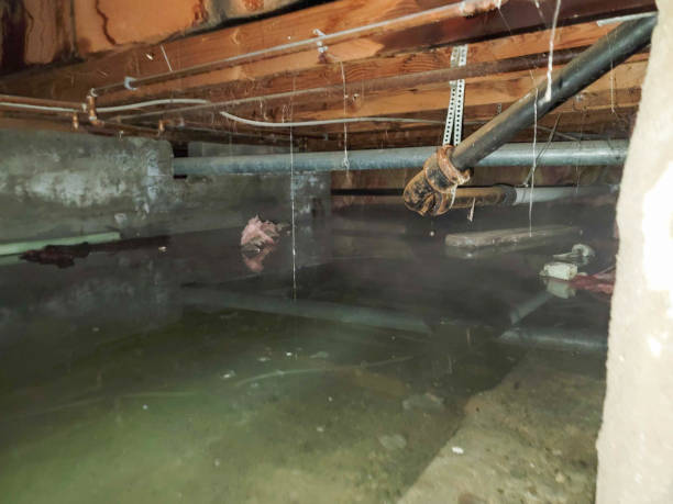 Best Emergency water extraction  in Heber, CA