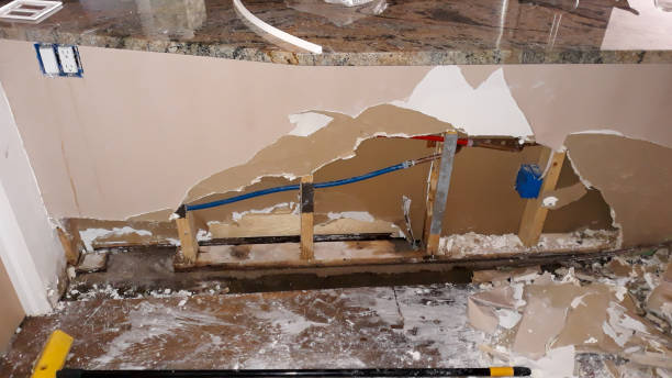 Best Fire Damage Restoration  in Heber, CA