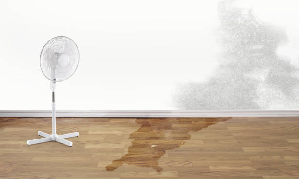 Water damage restoration process in Heber, CA
