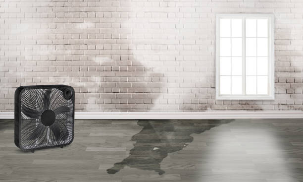 Heber, CA Water damage restoration Pros