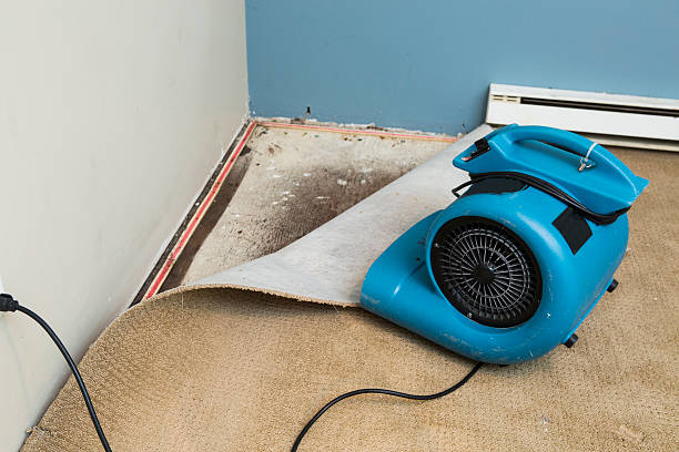 Professional Water damage restoration in Heber, CA