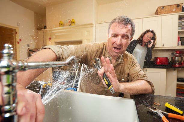 Best Mold removal after water damage  in Heber, CA